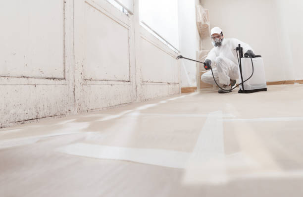 24/7 Emergency Mold Removal experts in Kintnersville, PA